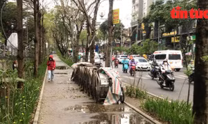Vì sao những làn đường tiện ích ở Hà Nội chưa thu hút người dân?