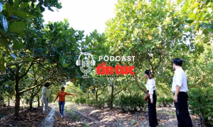 Giải mã cùng luật sư: Kỳ vọng mới cho đầu tư bất động sản nông nghiệp
