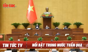 Tin tức TV: Bộ Chính trị xem xét, thi hành kỷ luật tổ chức đảng, đảng viên; Quốc hội chất vấn và trả lời chất vấn