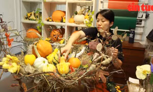 Độc đáo set bí ngô tiền triệu trang trí Halloween
