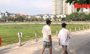 Hồ điều hòa Trung Văn đang kêu cứu