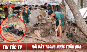 Tin tức TV: Tập trung khắc phục hậu quả cơn bão số 3; Xét xử vụ án Vạn Thịnh Phát giai đoạn 2