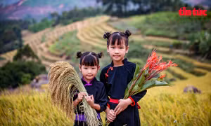 Lan tỏa những giá trị văn hóa truyền thống qua trang phục của đồng bào các dân tộc huyện Bình Liêu (Quảng Ninh)