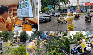 Tin tức TV: Khẩn trương khắc phục hậu quả bão số 3 và ứng phó với hoàn lưu bão