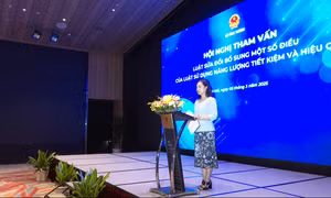 Sửa luật để nâng cao hiệu quả sử dụng năng lượng và phát triển bền vững