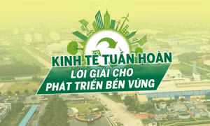 Tin tức TV: Kinh tế tuần hoàn - Lời giải cho phát triển bền vững