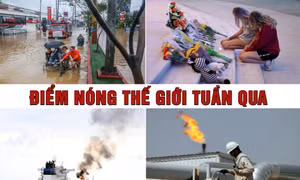 Tin tức TV: Siêu bão Yagi đổ bộ vào Tây Thái Bình Dương; Áo muốn tổ chức hòa đàm Nga - Ukraine 