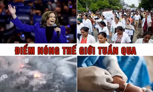 Tin tức TV: Bà Harris bứt phá trong vận động tranh cử; Nga-Ukraine giao tranh ác liệt ở Kursk và Donestk 