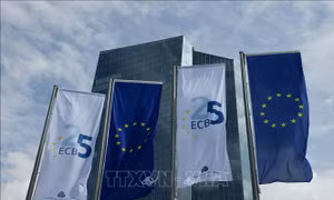 ECB giữ nguyên lãi suất ở mức cao kỷ lục 