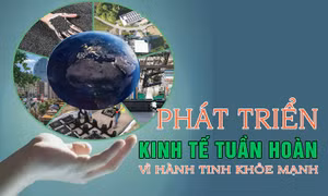 Tin tức TV: Phát triển kinh tế tuần hoàn vì hành tinh khỏe mạnh