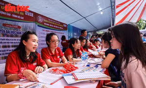 Chuyên gia lưu ý thí sinh điều chỉnh nguyện vọng xét tuyển