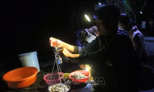 Về An Giang thăm 'chợ cá âm phủ' mùa nước nổi