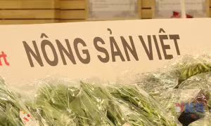 Để hàng Việt trụ vững trên 'sân nhà'
