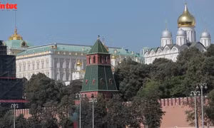 Điện Kremlin bình luận về mối quan hệ với London sau vụ trục xuất 6 nhà ngoại giao Anh