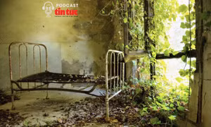 'Hòn đảo ma' bí ẩn ở Italy từng chôn cất 160.000 thi thể