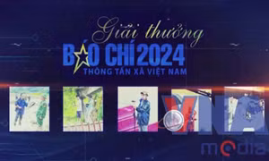 359 tác phẩm dự thi Giải Báo chí TTXVN năm 2024