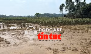 ‘Giải mã cùng luật sư’: Giải pháp khắc phục những lỗ hổng trong đấu giá đất, đấu giá quyền khai thác khoáng sản?