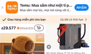 Trước sự ‘bùng nổ’ của Temu, chuyên gia đề xuất xây dựng hàng rào thuế quan thương mại