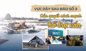 Tin tức TV: Vực dậy sau bão số 3: Cần quyết sách mạnh mẽ trong hỗ trợ vốn