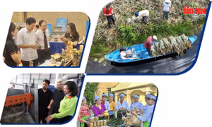 Phụ nữ tích cực khởi nghiệp sáng tạo, chuyển đổi xanh ¹