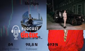 ‘Giải mã cùng luật sư’: Vì sao TikToker Mr Pips bị khởi tố, hơn 5,000 tỷ đồng bị phong tỏa? 