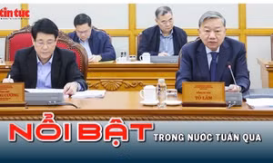 Nổi bật tuần qua: Kết luận điều tra vụ án Tập đoàn Phúc Sơn; Giá vàng lập đỉnh rồi lao dốc