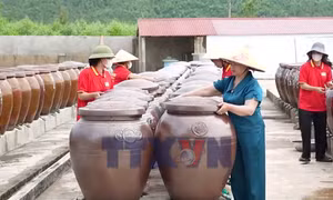 'Tấm vé' OCOP 5 sao giúp nước mắm Hà Tĩnh chinh phục thị trường
