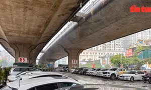 Bài toán cho giao thông tĩnh ở đô thị