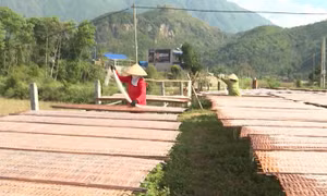Miến dong Bình Lư nhộn nhịp vào Tết