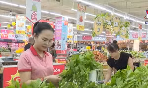 Nói 'không' với túi ni lông, nhân rộng thói quen tiêu dùng xanh