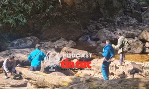 Tin nóng trong nước nghe nhanh sáng 5/3