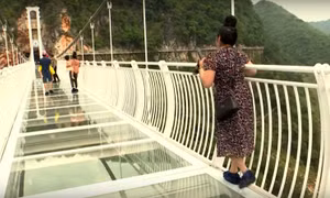 Hãng thông tấn Pháp thực hiện phóng sự ấn tượng về cây cầu kính mới ở Việt Nam