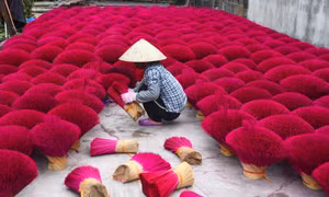 Hãng thông tấn Pháp làm phóng sự ấn tượng về làng hương Việt Nam dịp cận Tết