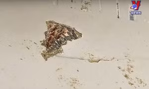 Chuyên gia xác nhận mảnh vỡ máy bay MH370
