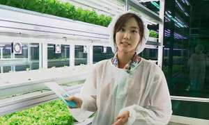Nông trại thông minh dưới tàu điện ngầm