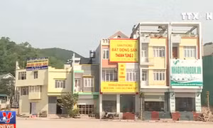 Vì sao Quảng Ninh tạm dừng mọi giao dịch sử dụng đất tại huyện Vân Đồn?