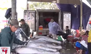 EU áp thêm quy định mới với thủy sản Việt Nam