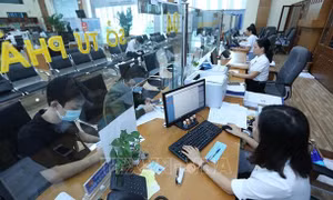 Không yêu cầu doanh nghiệp phải cập nhật thông tin căn cước công dân 