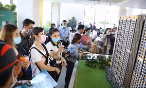 Thêm nhiều sàn giao dịch bất động sản ở TP Hồ Chí Minh giải thể
