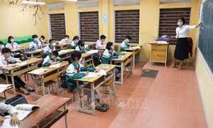Trên 1.000 giáo viên ở Hà Nội xin thôi việc, chuyển công tác