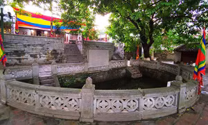 Xu hướng du lịch Tết