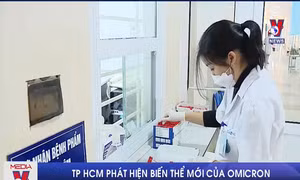 TP Hồ Chí Minh phát hiện biến thể mới của Omicron