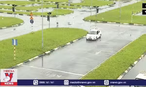 Chống can thiệp vào phần mềm học lái xe ô tô