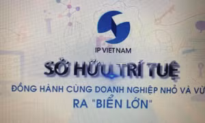 Sở hữu trí tuệ đồng hành cùng doanh nghiệp nhỏ và vừa 