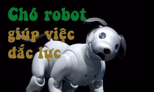 Robot chó cưng của Sony giúp việc đắc lực gia đình