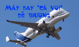 Đột nhập xưởng lắp ráp máy bay Airbus 'Cá voi' Beluga 