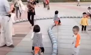 Ngộ nghĩnh đoàn tàu hỏa làm từ vỏ hộp sữa bột