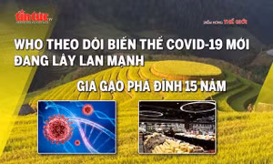 Tin tức TV: WHO theo dõi biến thể COVID-19 mới đang lây lan mạnh; Giá gạo phá đỉnh 15 năm