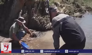 Người dân California đổ xô đi đào vàng sau bão