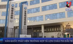 Hàn Quốc phát hiện trường hợp tả lợn châu Phi đầu tiên
